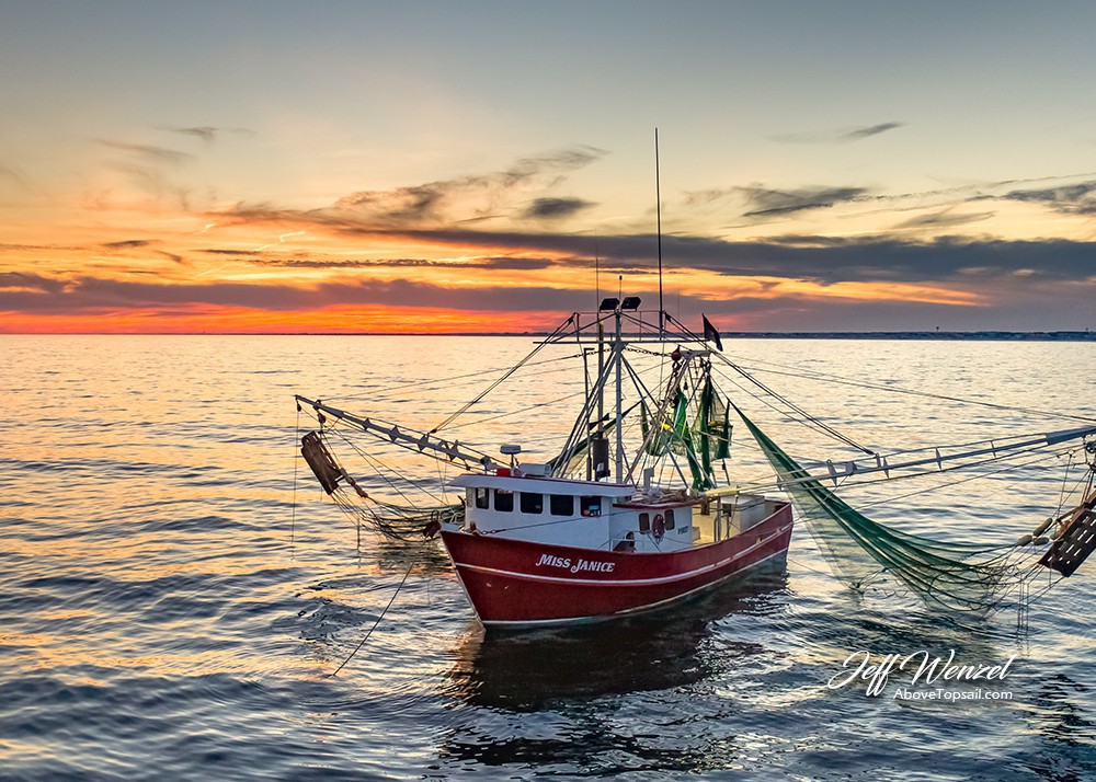 JW109: Miss Janice At Sunset