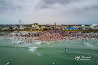 JW100: Dolphin Dip 2017