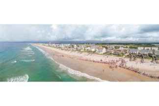 JW141 Turtle Release In July