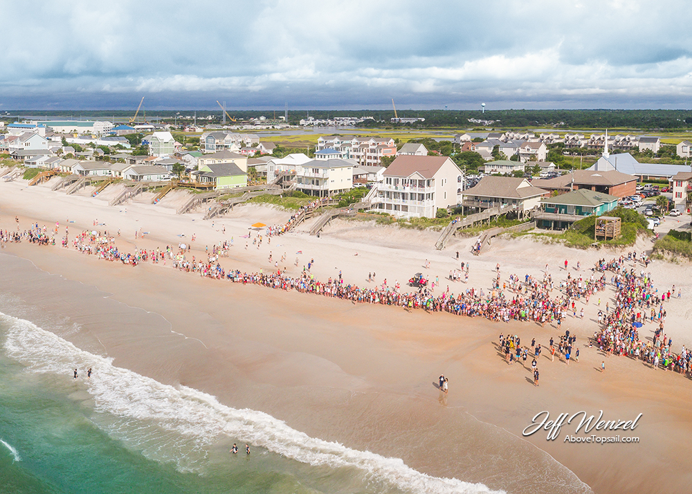 JW141 Turtle Release In July - Image 2