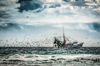 JW149 Everybody Loves Shrimp