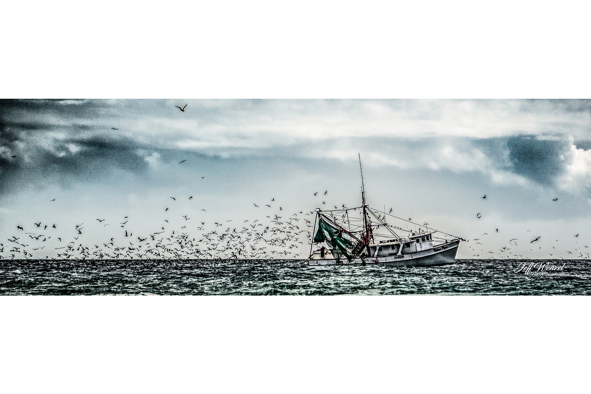 JW149 Everybody Loves Shrimp - Image 2