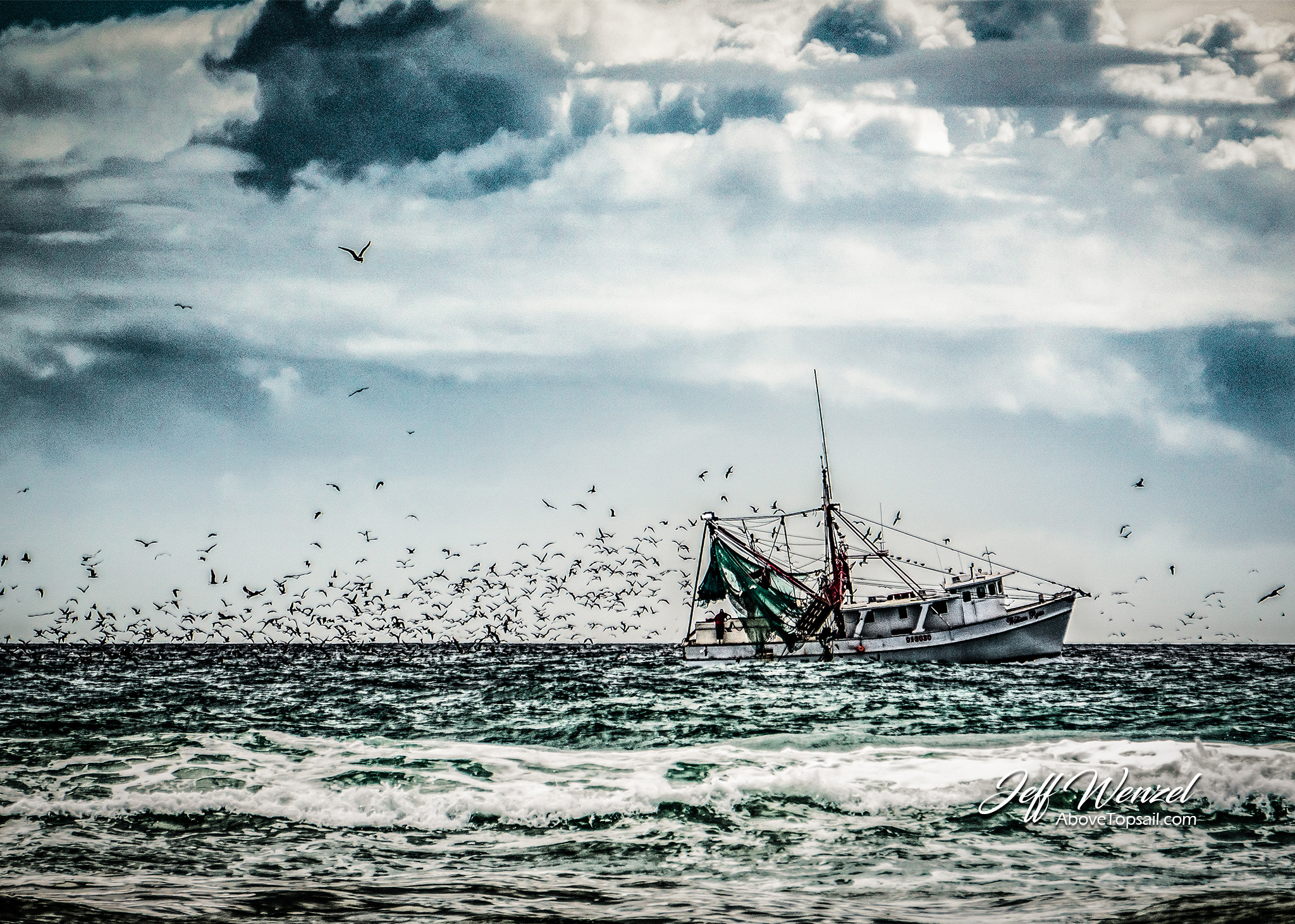 JW149 Everybody Loves Shrimp