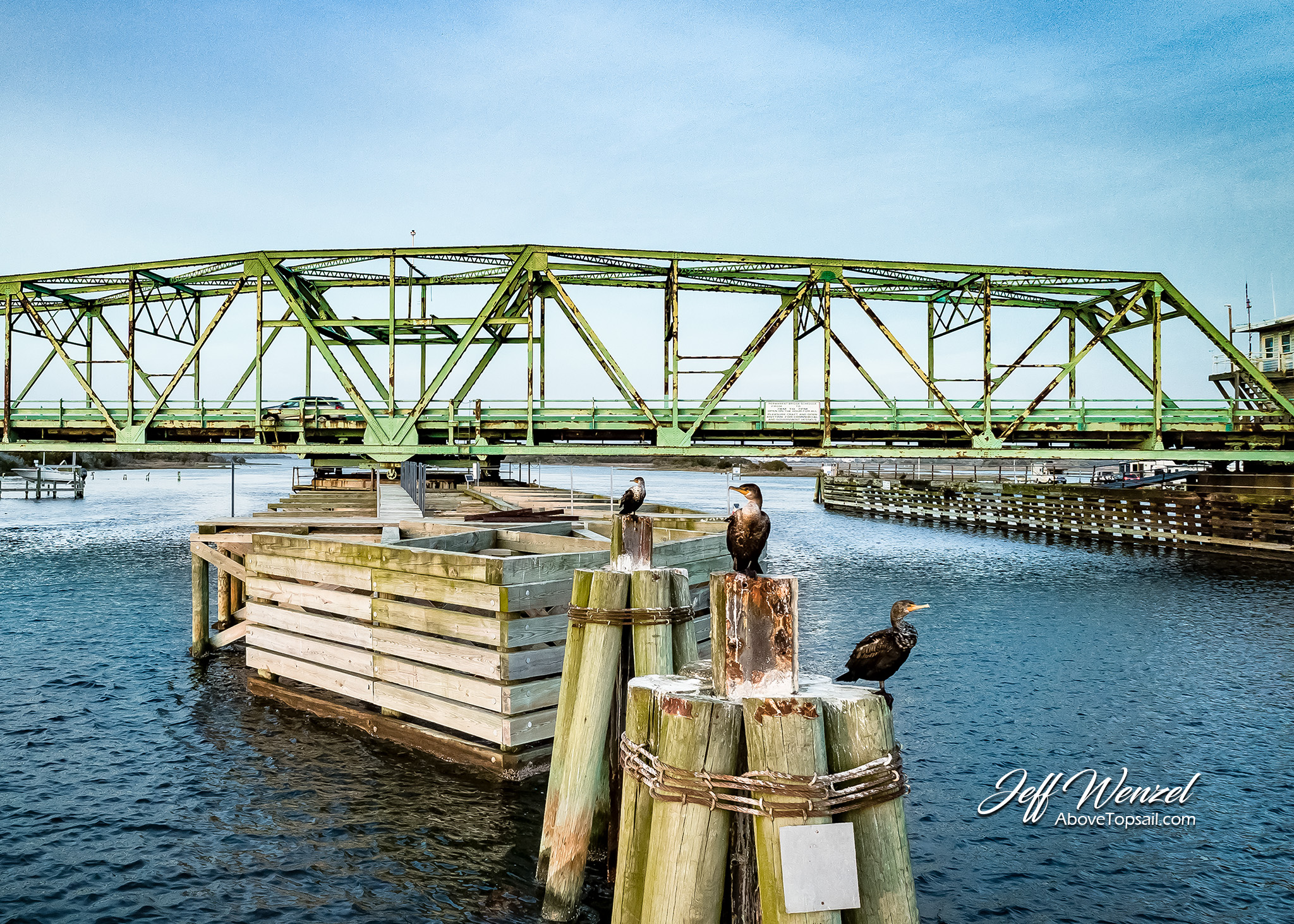 JW165 Posing Cormorants