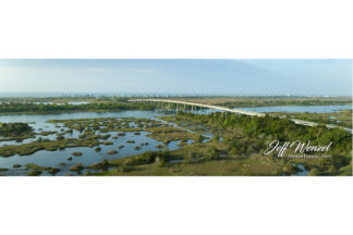 JW218 The Green Labyrinth pano 3to2