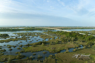 JW218 The Green Labyrinth