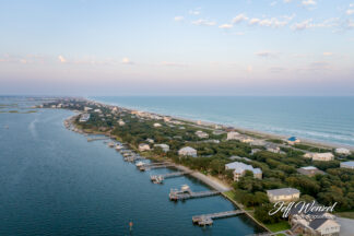 JW231 Bumblebee in the Distance