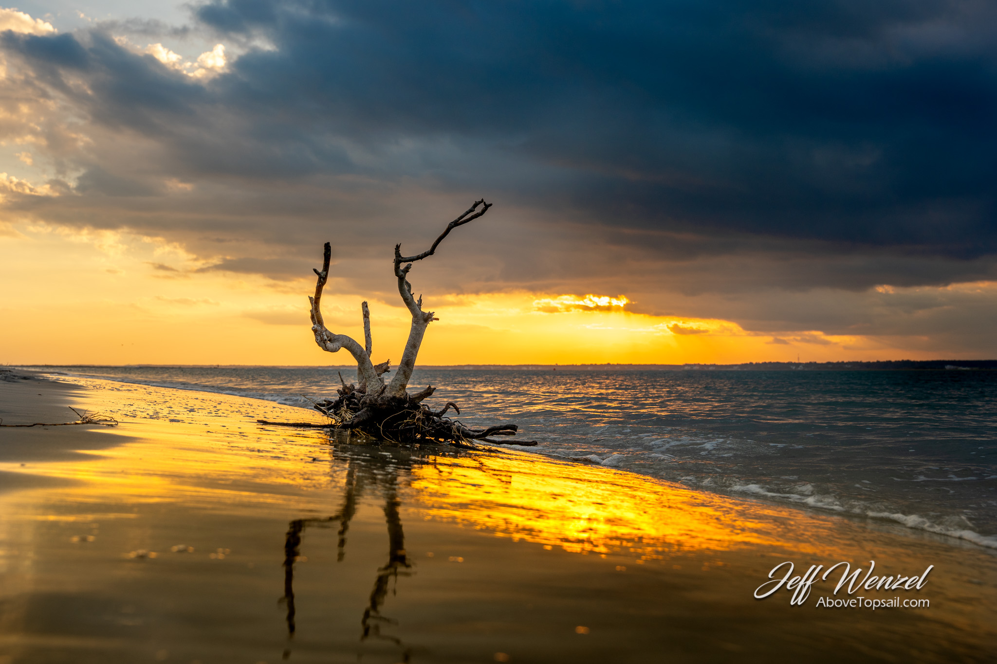 JW232 Tangled Beauty Serenity Sunset